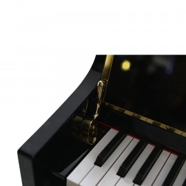 Arsenberg ADP1923BNG Siyah Dijital Piyano 2025 Versiyon
