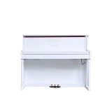 Arsenberg ADP1923WNG Beyaz Dijital Piyano 2025 Versiyon