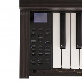 Arsenberg Speyer ASDP30-01RS Dijital Piyano