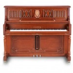 Arsenberg Speyer Premium Akustik Duvar Piyanosu