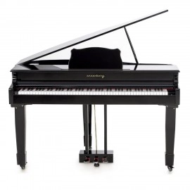 Arsenberg Speyer Serisi AG30S Grand Piyano