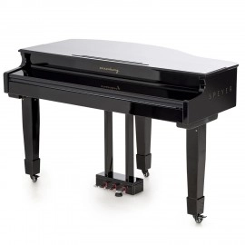 Arsenberg Speyer Serisi AG30S Grand Piyano