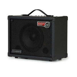 Echoban DC30 30 Watt Amfi