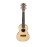 HAVANA HK-224BY ABANOZ CONCERT UKULELE