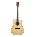 Zoppran ACZP15M Akustik Gitar