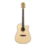 Zoppran ACZP10Z Akustik Gitar